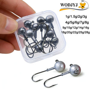WDJYJ 2g 3g 5g 7g 10g 14g 18g 25g soft worm lure grub bait fishing hooks jigging head hooks for soft lures bait fish accessory