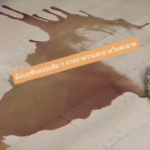 🔥[6pcs]ชุดถังปั่น ไม้ถูพื้น Spin Mop ถังปั่นไม้ถูพื้น ไม้ม๊อบถูพื้นพร้อมถังปั่น  ชุดถังปั่นไม้ม็อบ ถังปั่นไม้ม็อบ ชุดถังปั่นถูพื้น ไม้ม็อบถูพื้น ไม้ถูบ้านม็อบ