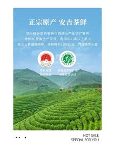 BAMA TEA | Pre-Qingming Anji White Tea