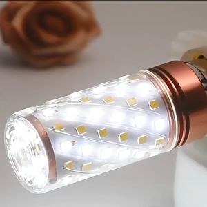 bóng led bắp bóng led trang trí