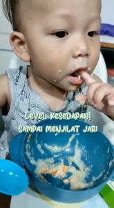 READY TO EAT BABY FOOD - BABYBITESNMUNCH Pyeon An Makanan Baby 6 7 8 Bulan Bubur Ayam Halus Ikan Gembira Daging Seronok