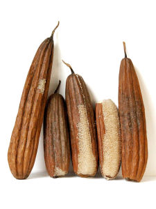 2024 Vải Rửa Bát Mới Có Da Lưới Dưa Chuột Dụng Cụ Vệ Sinh Nhà Bếp Dụng Cụ Vệ Sinh Gia Đình Lưới Dưa Chuột Khăn Vải