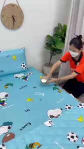 Ga Chống Thấm Drap Chống Thấm Chính Hãng PT 2 Trong 1 Bảo Vệ Đệm Tuyệt Đối Không Mùi Khó Chịu