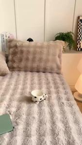 2pcs Fluffy Plush Pillowcase 48x74cm Winter Warm Thickness Pillow Sham Soft Rabbit Fleece Decorative Pillow Cover for Winter