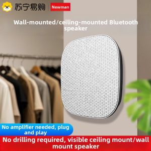 Newman Wireless Bluetooth Ceiling Mounted Wall Hanging Speaker No Drilling Required Shop 3D Surround Sound S1 Bluetooth Version