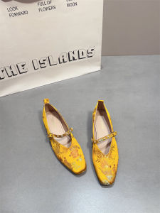 Elegant Embroidered Chinese Style Single Shoes for Women Low Heel Square Head Wide Application Soft Bottom Hanfu Cheongsam Shoes