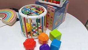 Baby Rainbow Shape Sensory Sorting Bin Toys with Elastic Bands for Fine Motor Skill Early Montessori Toys