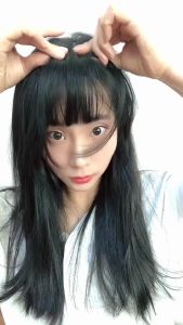 Poni Palsu Poni Hair Clip Poni Palsu Korea Dengan Cambang Tanpa Cambang
