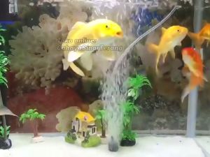 Aerator Aquarium USB Pompa Udara Akuarium Ikan portable pancing Airator Gelembung Oxygen Pump Taffware Fish Tank Oxygenator USB 1 W Usb Aerator Aquarium DC airpump aerator usb aerator dc