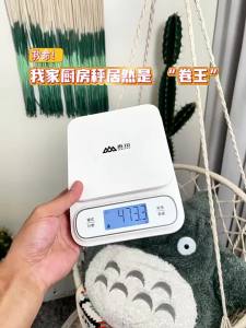Camry | Cân Bếp Chính Xác Chống Nước 0.1g