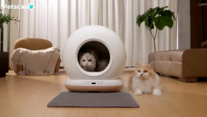 Petscaso Smart Cat Litter Box App Control & Camera | Auto-Cleaning Odor Control Toilet Schedule Monitoring