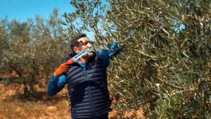 เลื่อยโค้ง ตัดกิ่ง ต่อด้าม Bellota รุ่น 45871MM ฟันเลื่อย 3 ชั้น คมพิเศษ เหมาะสำหรับเลื่อยไม้สูง