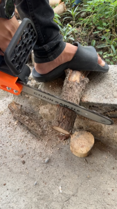 JUMBO เครื่องเลื่อยไร้สาย 11.5 นิ้ว มีรับประกันสินค้า ครบชุด (ส่งไวจากไทย) เลื่อยตัดไม้ เลื่อยไฟฟ้า เลื่อยไร้สาย ตัดง่าย ส่งฟรี มีปลายทาง