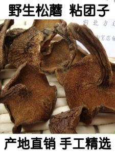 Northeast Specialty Wild Pine Mushroom Dry Goods 500G Pine Mushroom Sticky Moth Stick Ball Pine Black Yellow Mushroom Edible Fungus