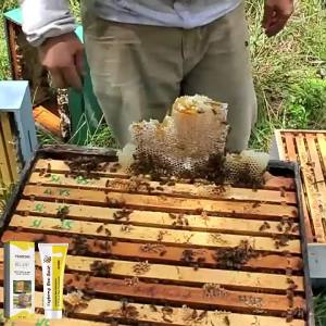 Outdoor Beekeeping Bee Attractant Bait Queen Pheromone Lure Swarm Commander for Honey Hive Attraction