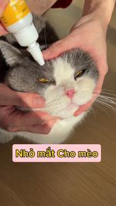 Bông Ướt Lau Mắt Chó Mèo EYE Dorrikey Loại Bỏ Vết Ố Bẩn Mắt Thú Cưng Giữ Đôi Mắt Sáng -130 Miếng