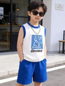 JIFANPAUL | Stylish Children Boy Summer Vest and Shorts Set