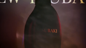 TSUBAKI PREMIUM MOIST & REPAIR (CONDITIONER/SHAMPOO/REFILL) 450ML/300ML (REFILL)