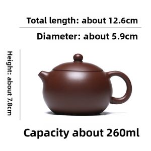 CANGHUTIANXIA | Handmade Purple Clay Teapot Xi Shi Teapot for Home Use