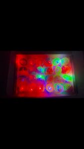 5Pcs Kids Glowing Ball Toy LED Light Up Flashing Soft Prickly Ball Elasticity Fun Toys Children Squeeze Anti Stress Toys