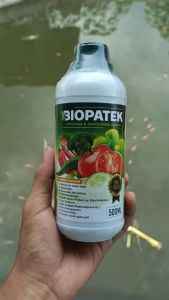 Obat Bercak Daun Bibit Sawit Terbaik - BIOPATEK 500ML