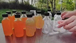 Glass Bottles With Lids 12X Ginger Shot Container Jars