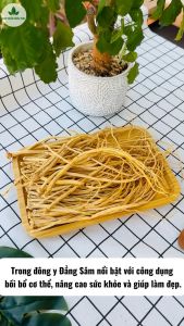 Đẳng sâm khô 500g đảng sâm sợi to vàng hỗ trợ tốt cho sức khỏe - Chợ Thảo Dược Việt