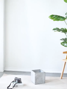 🌈100%สมจริงสมจัง🌈ต้นไม้ปลอม มอนสเตอร่า ต้นปาล์มใบนิ่ม สีตรง คุณภาพดี สัมผัสที่จริง ต้นไม้มงคลปลอม ต้นไม้ประดิษฐ์ ต้นไม้ตกแต่ง ต้นไม้ปลอมสวยๆ ต้นไม้ปลอมใหญ่ ต้นไม้เทียม ต้นไม้มงคลสวยๆ พืชประดิษฐ์ ตกแต่งบ้าน ต้นไม้แต่งห้อง ต้นไม้แต่งบ้าน