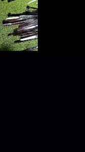 Nylon Cable Ties 100pcs - 3x200 4x250 4x300 8x250 8x300 sizes - for Home & Professional Use