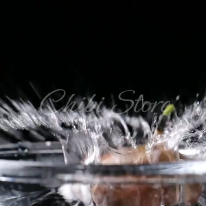 Franzzi Cookies 70g - Franzzi Biscuit Mini - Biskuit Franzzi Sandwich Rasa Osmanthus Oolong Passion Fruit Raw Coconut Latte Red Velvet Strawberry 法丽兹 夹心曲奇饼干 桂花乌龙 百香果奇亚籽 生椰拿铁 红丝绒草莓