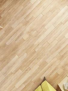 Dressing Mirror Full-length Wall-mounted or Floor Standing