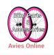Avies Online
