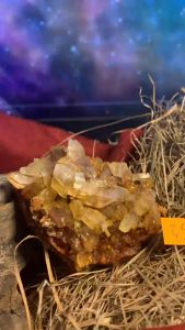 cụm đá Thạch Anh vàng Citrine tự nhiên sưu tầm mã 393