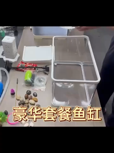 โหลปลา ตู้ปลากัด ตู้ปลาแรงดันลบ ลอยอยู่ในอากาศ การตกแต่งที่สร้างสรรค์