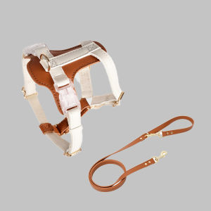 Popocola | Escape Prevention Cat Harness Leash Outdoor