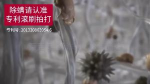 Dust Mite Vacuum Cleaner Handheld Dust Mite Vacuum Cleaner For Bed Mattress Dust Mite Vacuum Cleaner For Bed Baking Paint for Metal Process