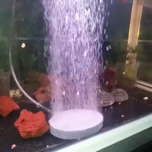 Air Stone Aerator /Bubble Disk /Batu Oksigen for Aquarium & Fish Tank #A009