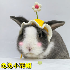 หมวกหนูน้อย Adorable Rabbit Hat เสื้อผ้าสัตว์เลี้ยง หมวกดอกไม้ หมวกเล็ก ของเล่น หมวกหนูน้อย หมีแพนด้า หมวกสัตว์เลี้ยง