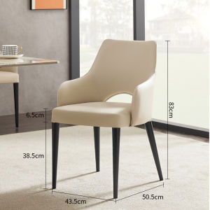 TINGXU | Sleek Luxury Design Chair