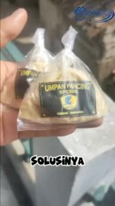 Umpan pancing dot-dot special ikan indukan