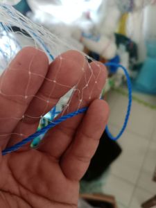 anco senar lubang 1 inci ukuran 3x3 m