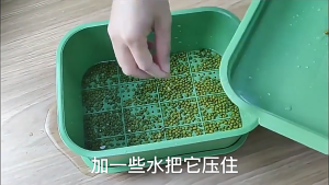 1/2/3Pcs Plastic Nursery Vegetables Sprout Plate Microgreens Sprout Trays Sprout Hydroponics Plate Germination Beans Sprouts Seedling Pot Tray Double Layer Plastic Seedling Tray Planters