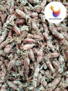 Ikan Asin Cumi/Sotong Baby Rebus Super