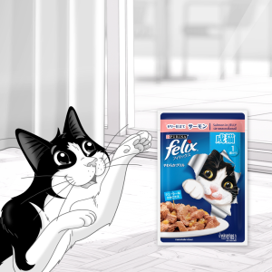 Nestle Purina FELIX Salmon in Jelly Adult Cat Wet Food (85g x12)