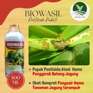 (Bayar Di Rumah) Obat semprot basmi hama penggerek batang jagung terampuh - BIOWASIL 500ML - Pupuk pestisida pengendali hama penggerek  tanaman jagung terbaik - insektidida penggerek batang dan daun jagung manjur BERKUALITAS 100%