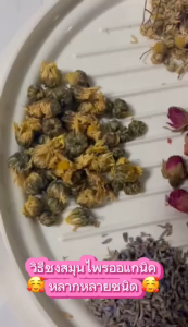 ดอกมะลิอบแห้ง กลิ่นหอมนุ่ม ดื่มง่าย ชาดอกมะลิ สมุนไพรOrganic100%