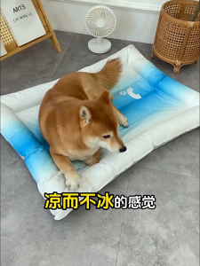 SG Ice Cooling Pet Beds Dog Cat Cooling Mat Ice Pad Dog Sleeping Mats for Dogs Cats Pet Kennel Top Quality