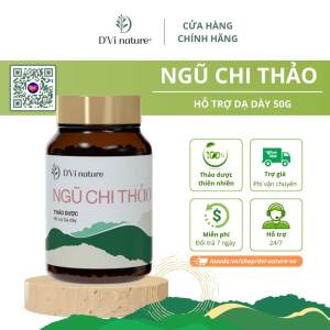 Ngũ chi thảo DVi nature thảo dược hỗ trợ dạ dày trung hòa axit giảm đau thượng vị ở chua đầy hơi virut HP