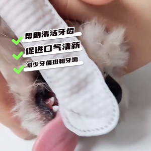 ผ้าเช็ดฟันแมว-หมา ลดกลิ่นไม่พึงประสงค์ในช่องปาก ใช้ง่ายกว่าการแปรงฟัน 38/55pcs ของใช้จำเป็นสำหรับสัตว์เลี้ยงทุกวัน ผ้าเช็ดฟันสัตว์เลี้ยง
