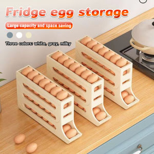 ItemMart Kitchen Egg Tray 4 Tier Refrigerator Egg Storage Rack Large Capacity Dedicated Egg Carton